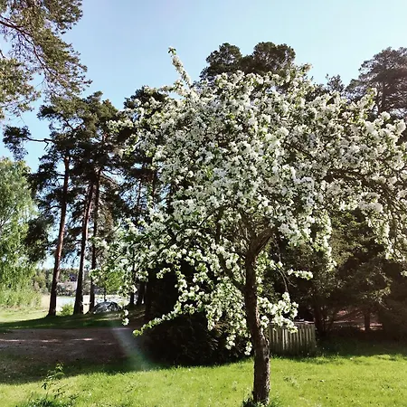 Naantalissa Idyllinen Merenrantatalo, Onnenpoukama 別荘