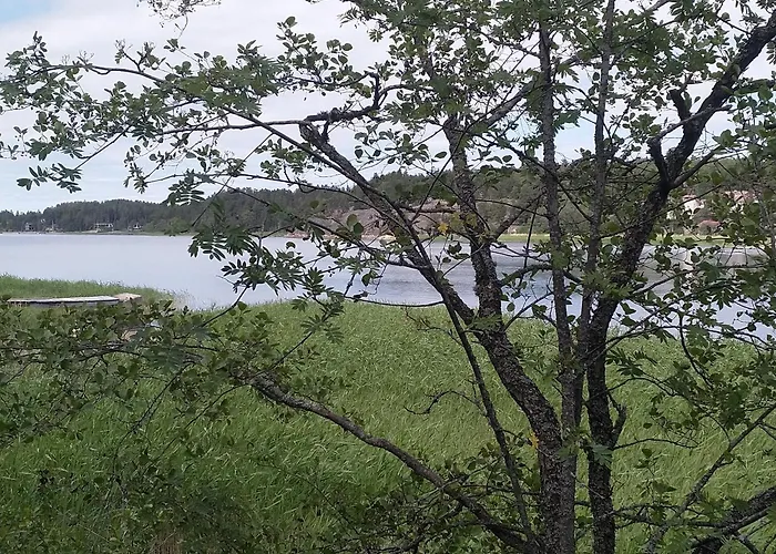 Naantalissa Idyllinen Merenrantatalo, Onnenpoukama